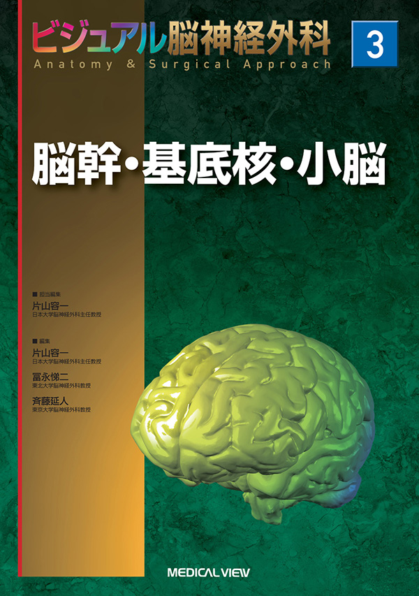 ビジュアル脳神経外科3 脳幹・基底核・小脳