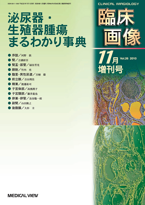 臨床画像 2010年11月増刊号