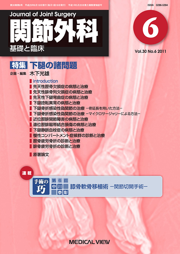 関節外科 2011年6月号