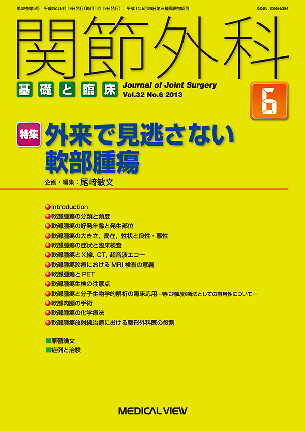 関節外科 2013年6月号