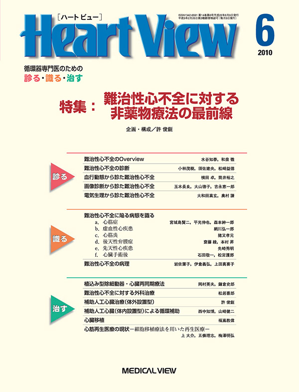 Heart View 2010年6月号